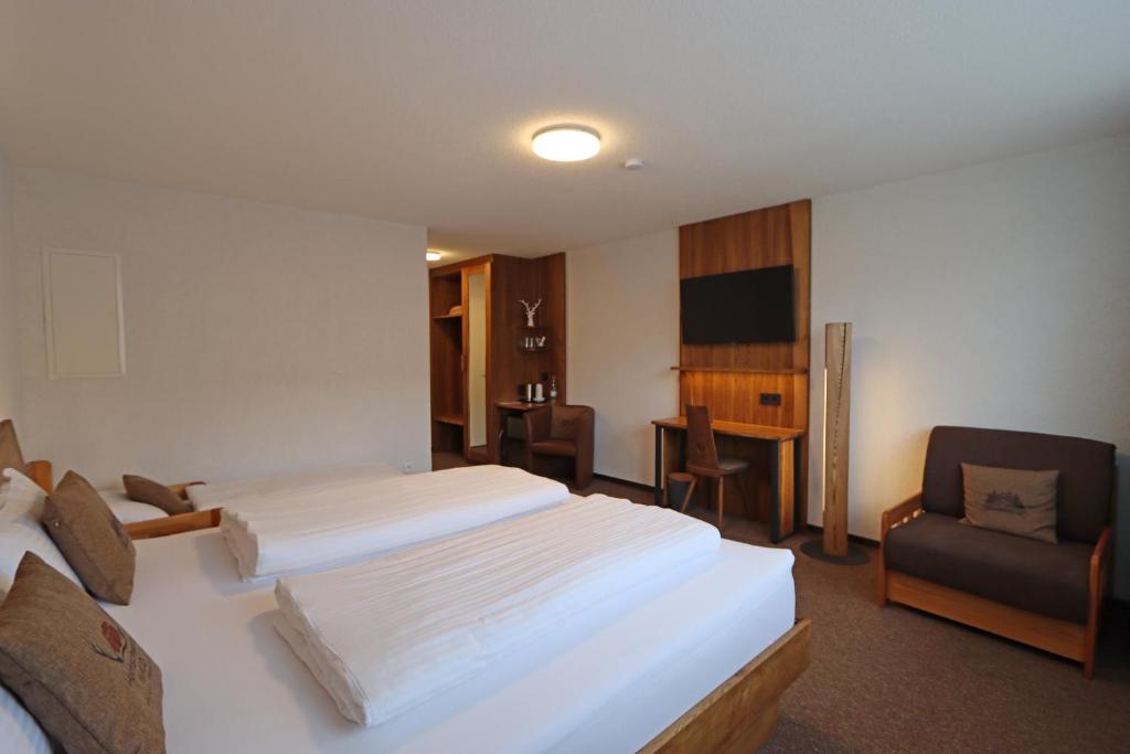 TV a/nebo společenská místnost v ubytování Hotel Kreuz Höhengasthof