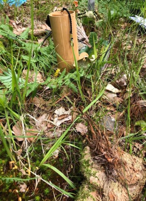 Vonkajšia záhrada v ubytovaní Chez Juline - Gîte Nature et Bien-être