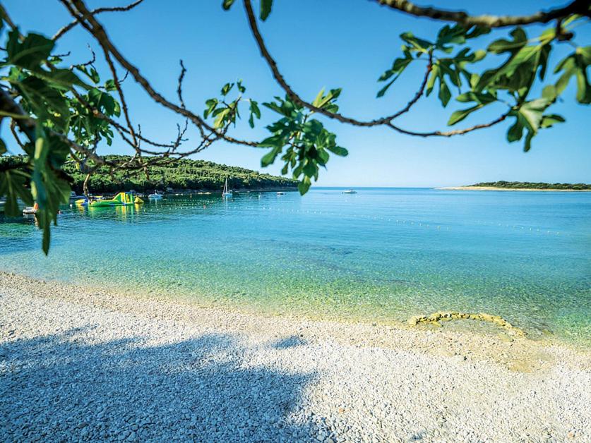a view of a beach with the water at Sea & Sun 4* in Banjole