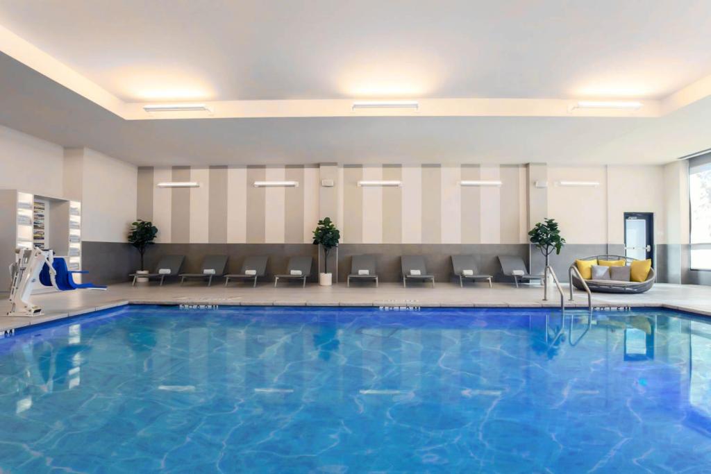 Swimmingpoolen hos eller tæt på AC Hotel by Marriott Dallas Frisco