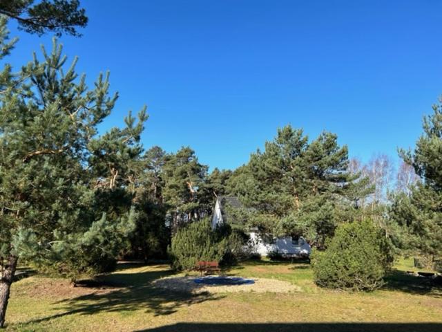 a park with trees and grass with a blue sky at Ferienpark Buntspecht Apartment A in Pruchten