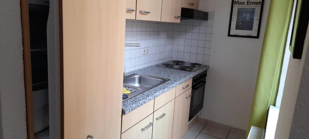 Apartment-Hotel Schillerplatz - Habitación Individual Grande