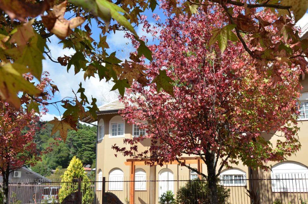 Pousada La Lavande  Pousada La Lavande