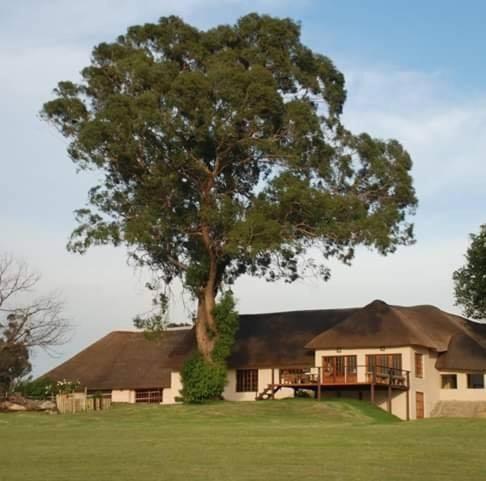 ein Haus mit einem großen Baum davor in der Unterkunft ThakhuBrunfelsia in Secunda