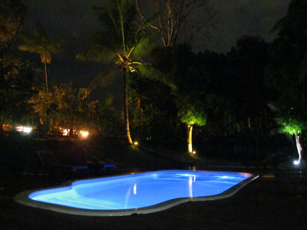a blue swimming pool at night with palm trees at Pousada da Paz in Itacaré