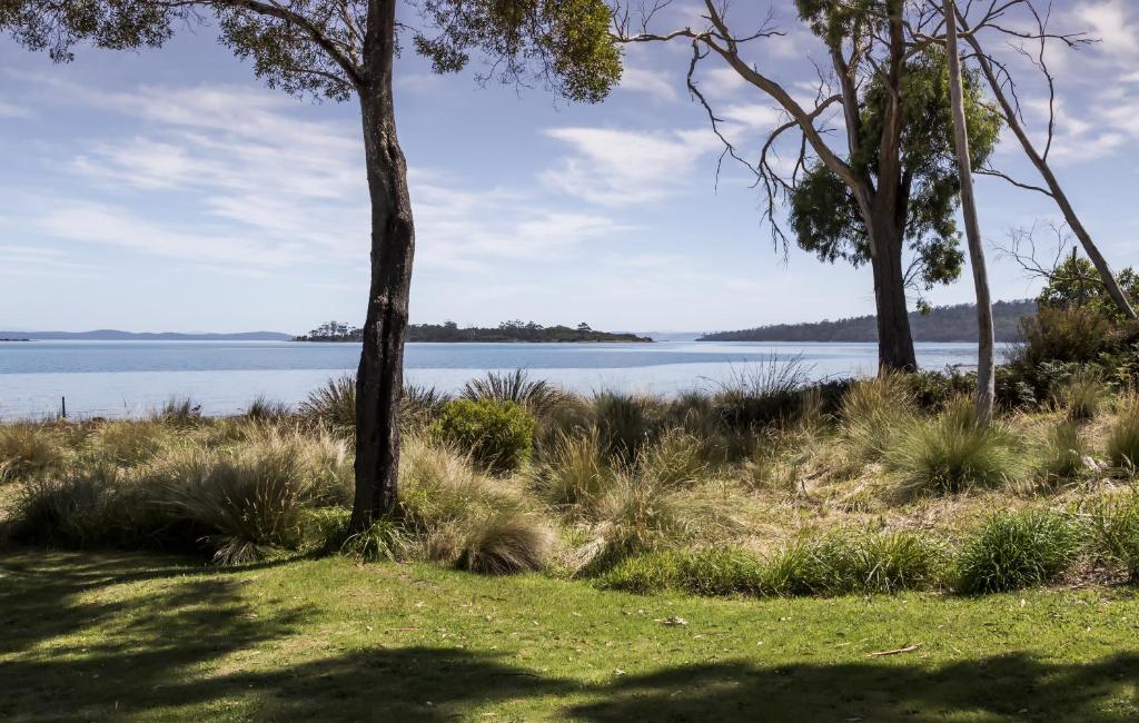 a view of a grassy area next to a body of water at Abs by the Bay in Taranna