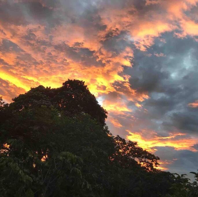 a sunset behind a tree with a cloudy sky at Cabaña con vista al Río in Ibagué