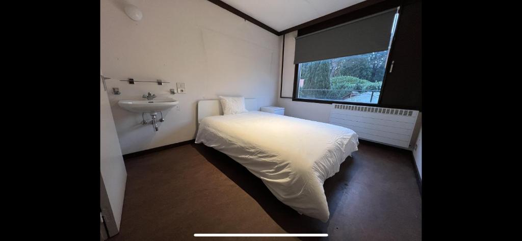 Dormitorio pequeño con cama y lavamanos en Gemeubelde villa met, en Sint-Martens-Latem