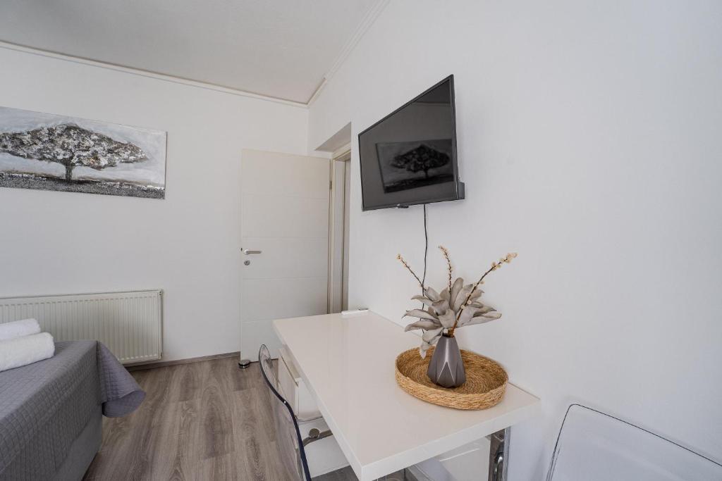 TV a/nebo společenská místnost v ubytování Silver Room
