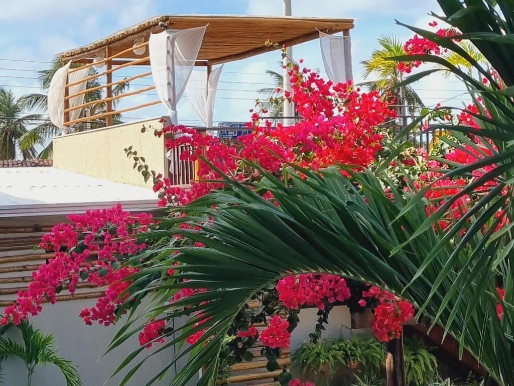 Zahrada ubytování Muriú Beach Flat