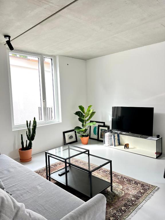 a living room with a tv and a glass coffee table at Weinberg-Design-Apartment Stuttgart-Fellbach in Fellbach