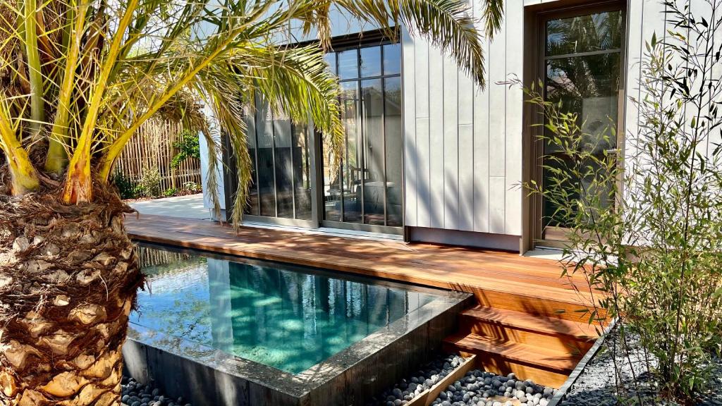 uma piscina em frente a uma casa com uma palmeira em La Villa du Lac - piscine chauffée - Jacuzzi - clim em La Teste-de-Buch