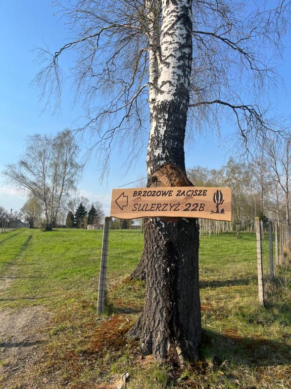 a sign on a tree next to a tree at Brzozowe zacisze 