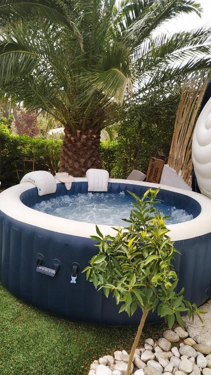 una bañera de hidromasaje en un patio con una palmera en D'art d'art à Sanary en Sanary-sur-Mer
