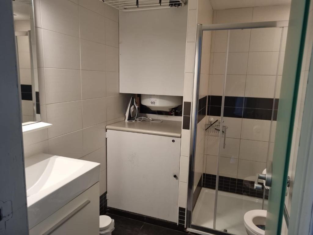a bathroom with a shower and a sink and a toilet at Duin 225 Appartement in Bredene
