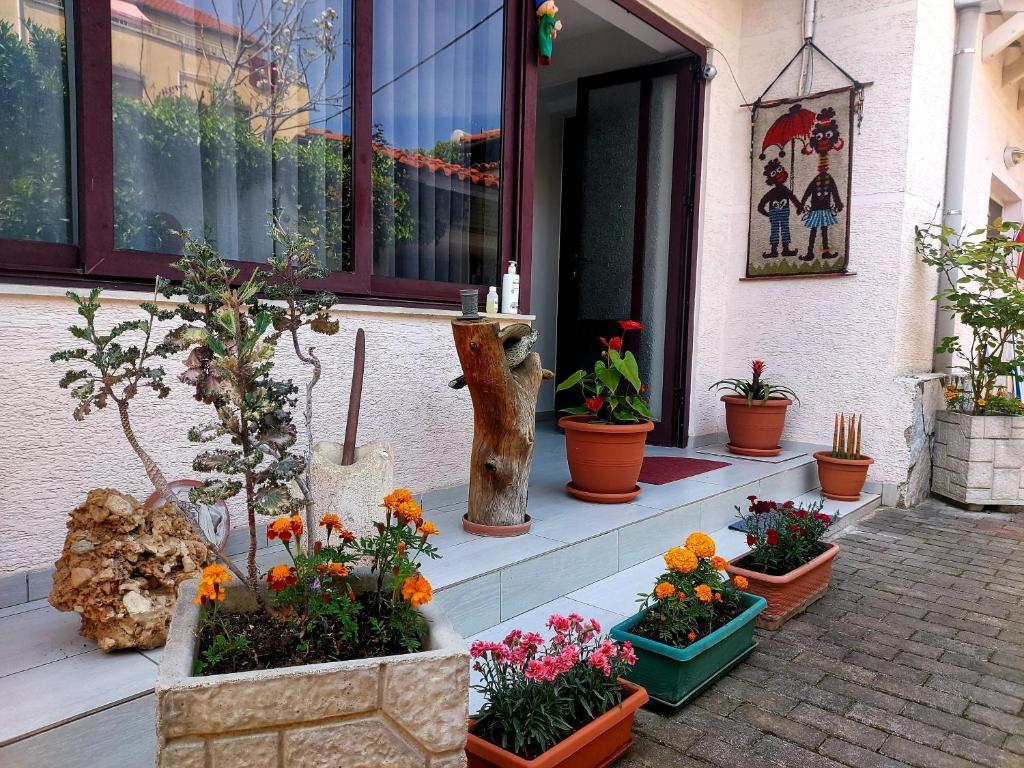 Zahrada ubytování Guesthouse Hygge