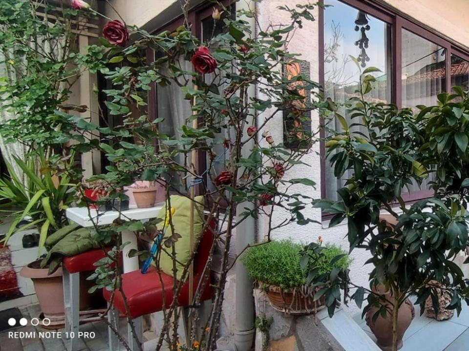Zahrada ubytování Guesthouse Hygge