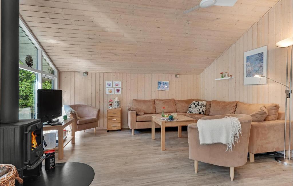 Oddeにある4 Bedroom Gorgeous Home In Hadsundのリビングルーム(ソファ、暖炉付)