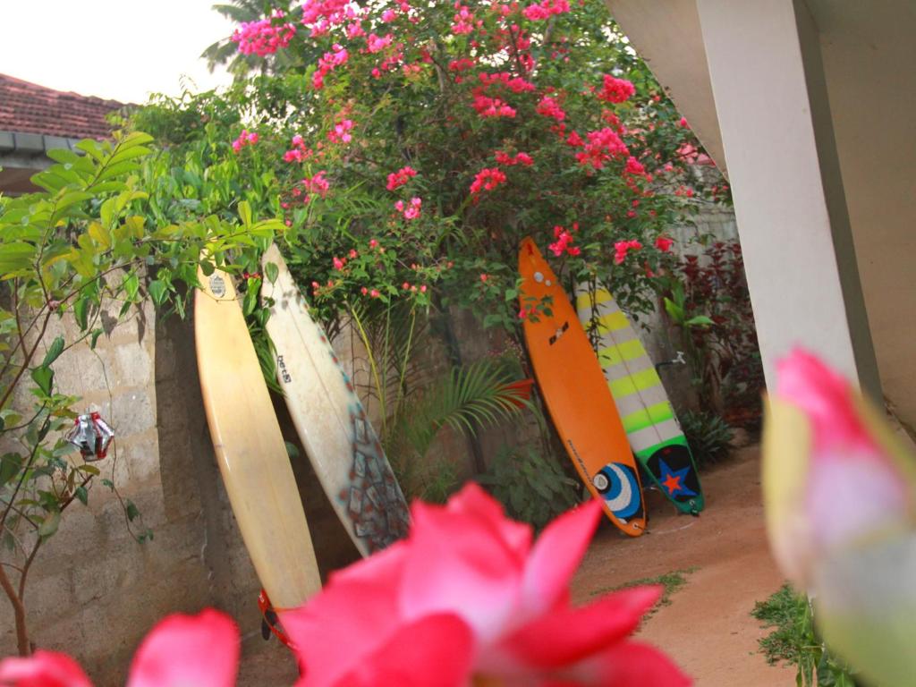 Sun Rest Mirissa - 14