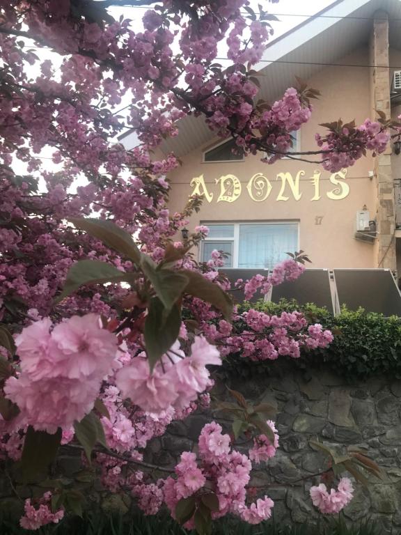 un edificio con fiori rosa di fronte di Adonis a Užhorod