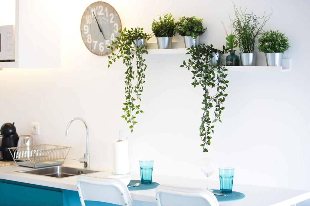 Alegria Cool House - 17