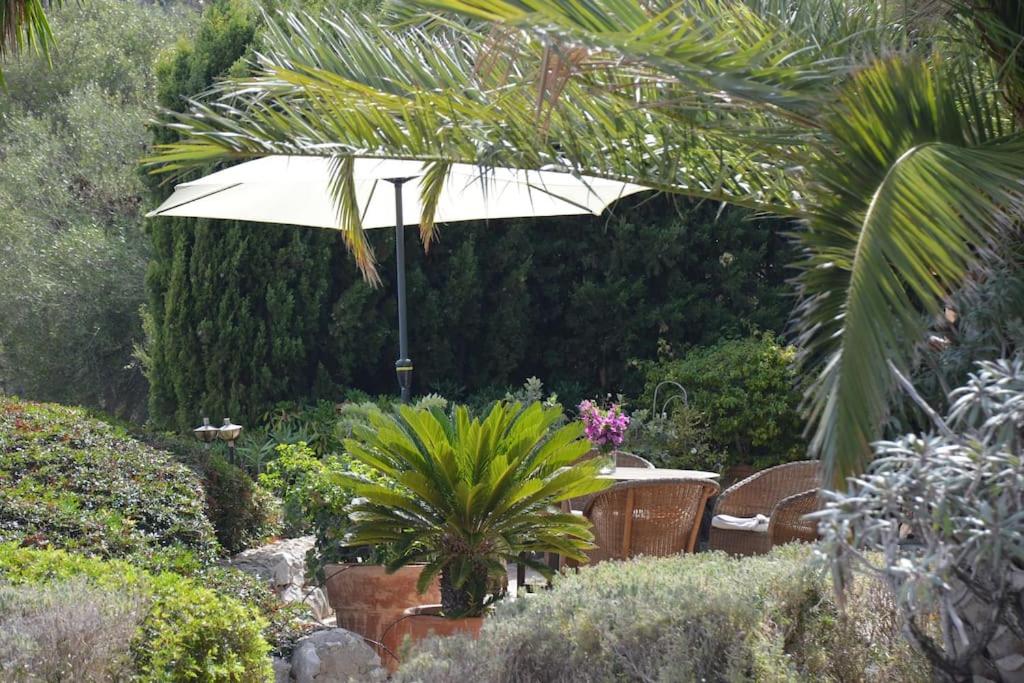 Zahrada ubytování Finca Casa Rubi with Pool and ocean view