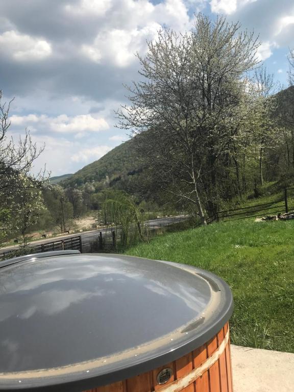 Peisaj natural din apropierea acestei pensiuni