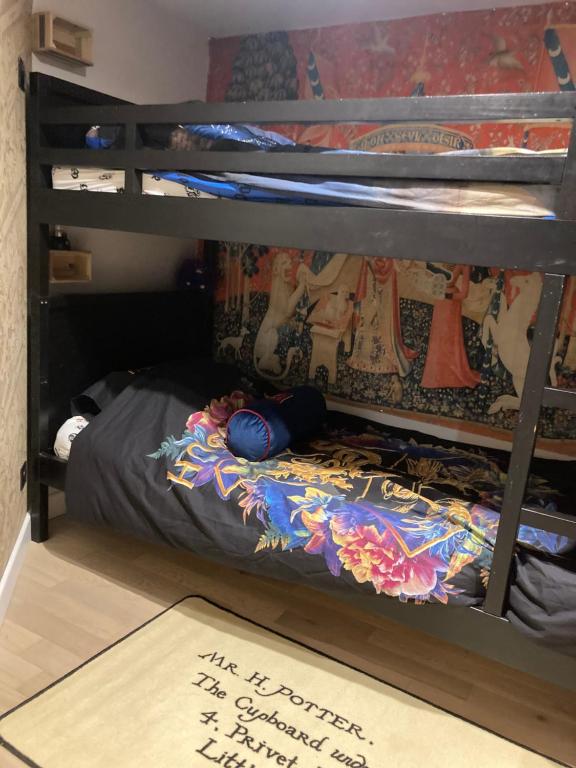 a room with a bunk bed with a sign on the floor at Les sorciers, la Diligence St Jean de Losne in Saint-Jean-de-Losne