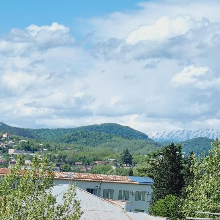 Příroda nedaleko apartmánu