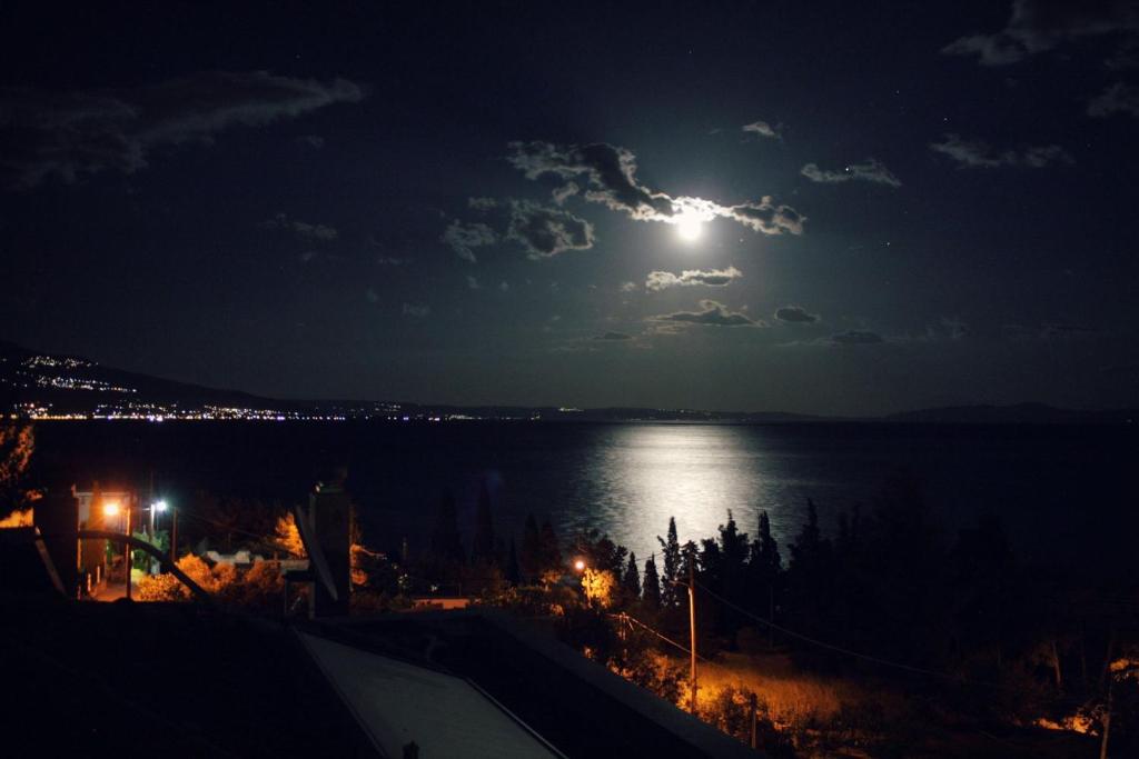 Príroda v okolí apartmánu