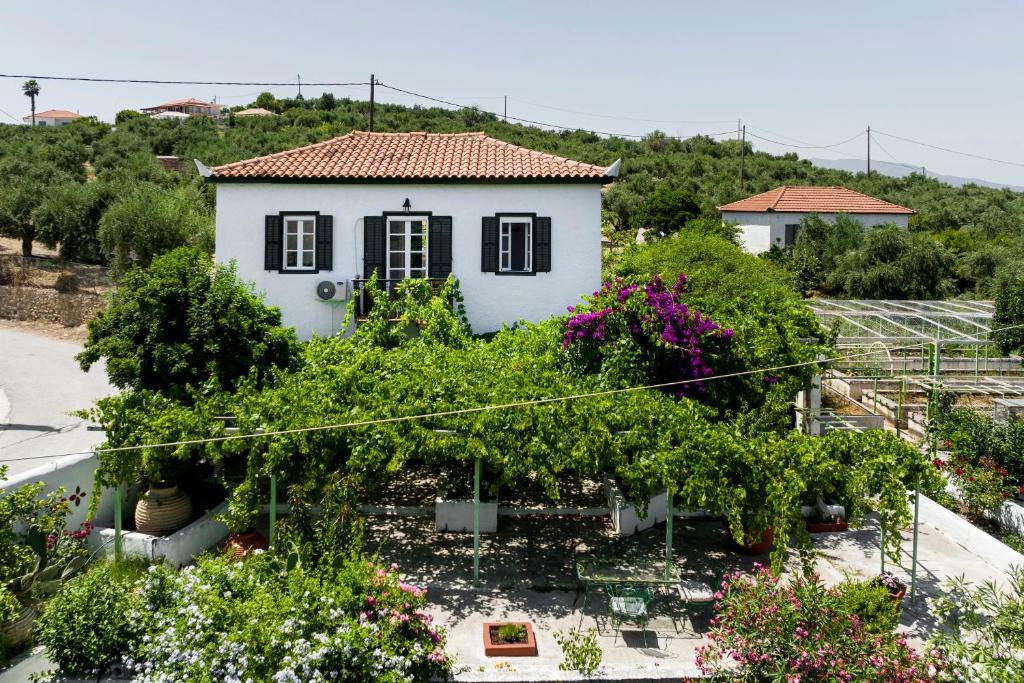 mały biały dom z kupą winorośli w obiekcie The Olive yard house in Koroni w Koroni