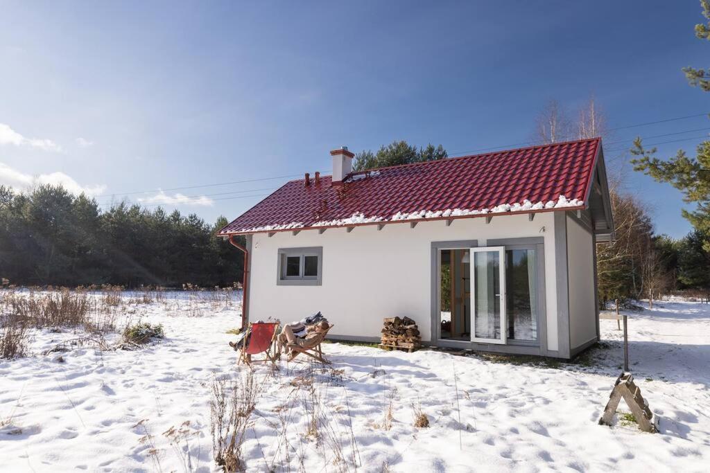 a small white house with two dogs in the snow at Nowy dom przy starym krześle - w Pelniku in Pelnik