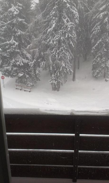 Byt Zuzana during the winter
