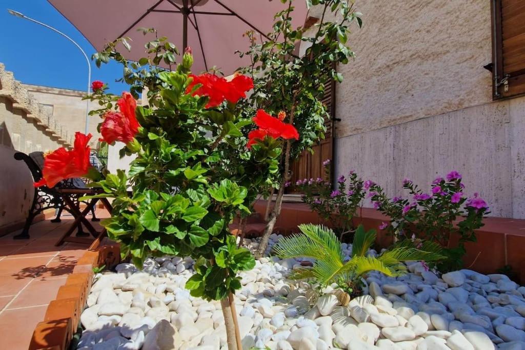 Zahrada ubytování La Cava di Sasà