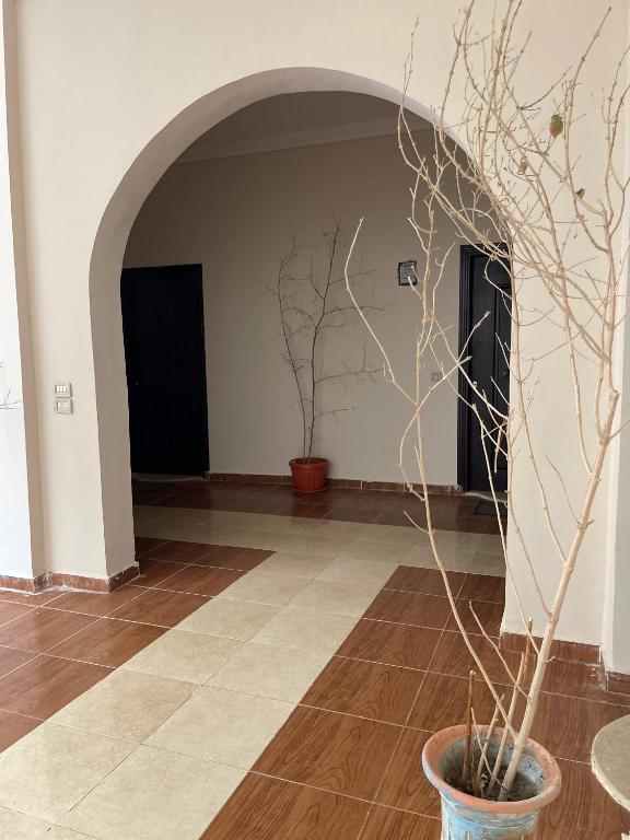 Fotografie z fotogalerie ubytování La Casa Guest House v destinaci Marsa Alam City