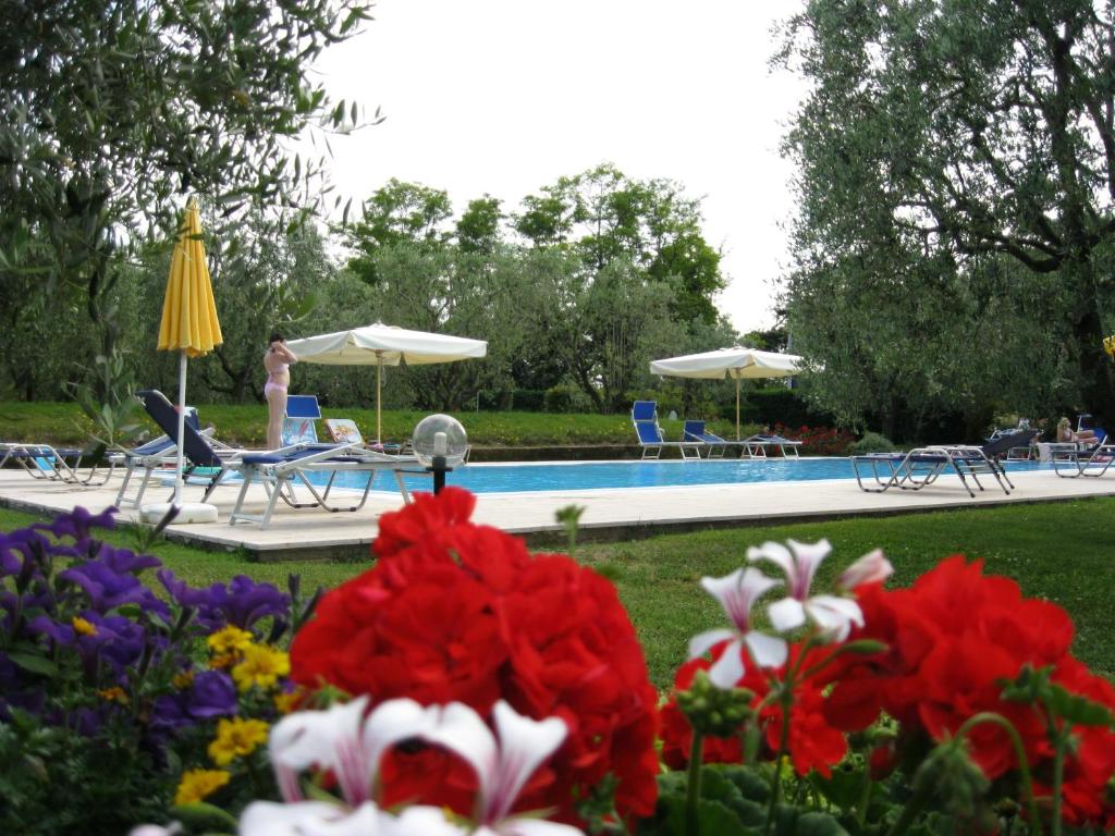 a swimming pool with chairs and umbrellas and flowers at Agriturismo la Casetta in Affi