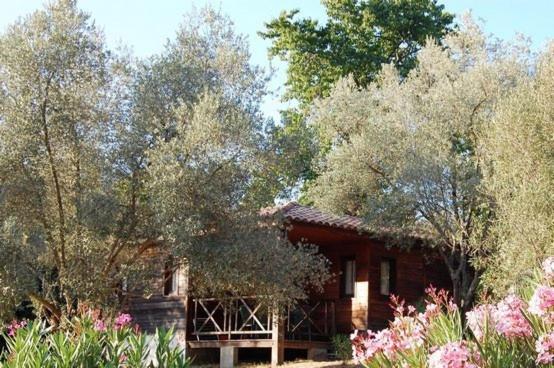 a house in the midst of trees and flowers at Gites Chalets de Grosseto-Prugna in Grosseto-Prugna