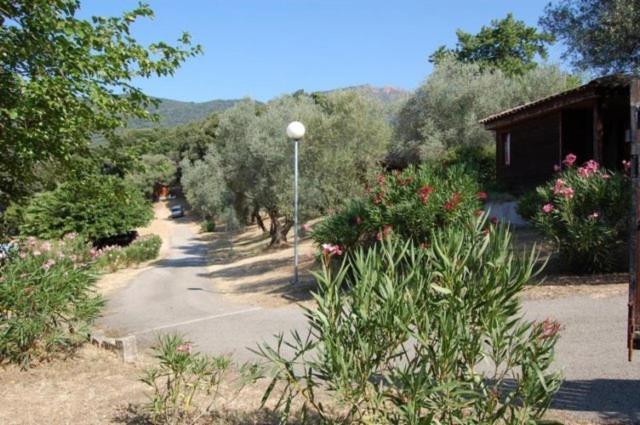 Príroda v okolí of the country house
