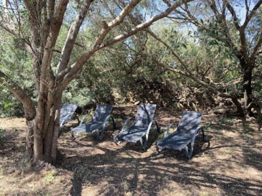 un groupe de chaises bleues sous un arbre dans l'établissement Beau T2 entre Santa Giulia et Palombaggia -, à Porto-Vecchio