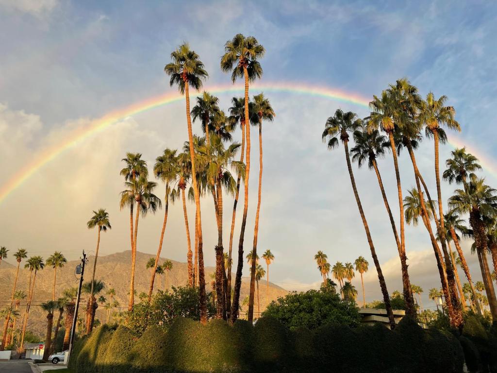 Deepwell Oasis, Palm Springs Updated 2023 Prices