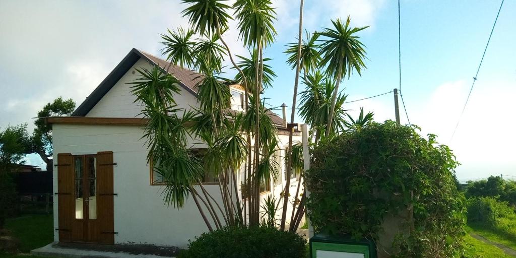una casa blanca con palmeras delante en Le Tranquillou, en La Plaine des Cafres