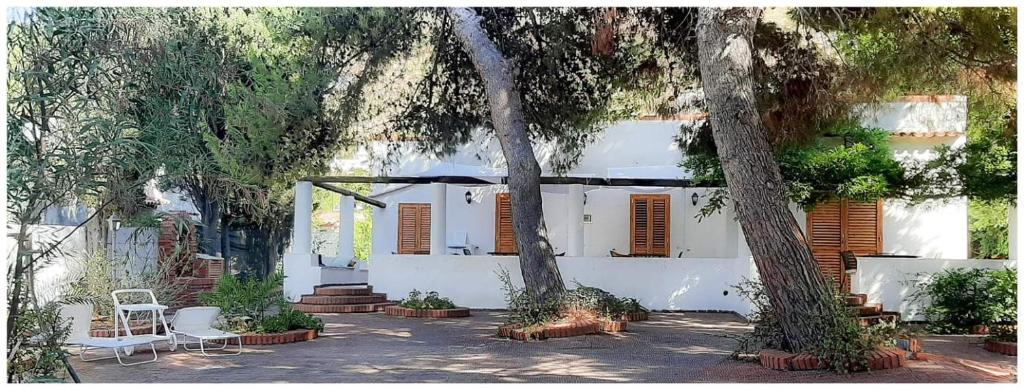 een wit huis met bomen en stoelen ervoor bij Villa il Glicine in Vulcano