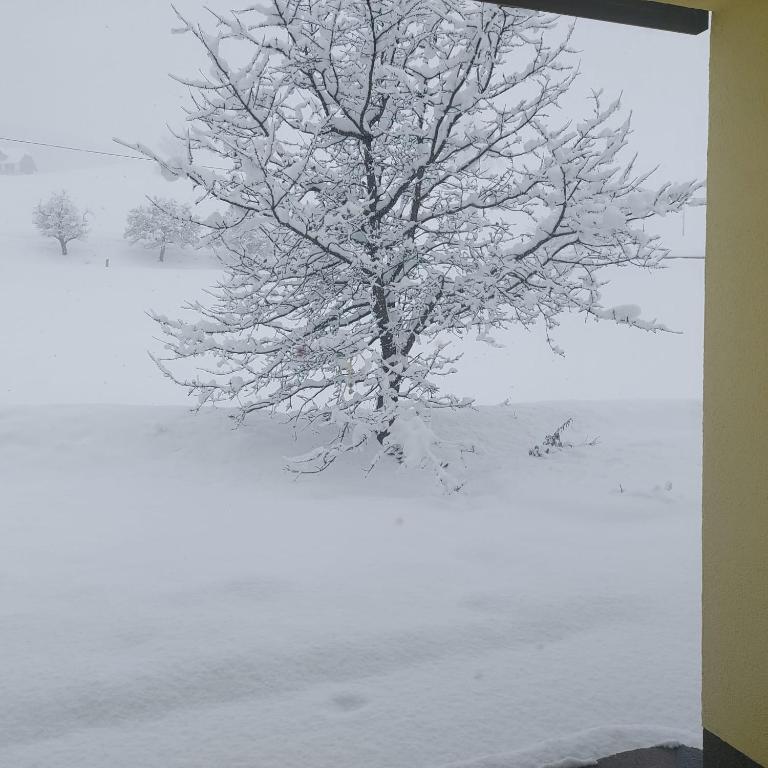 Greimblick v zimě