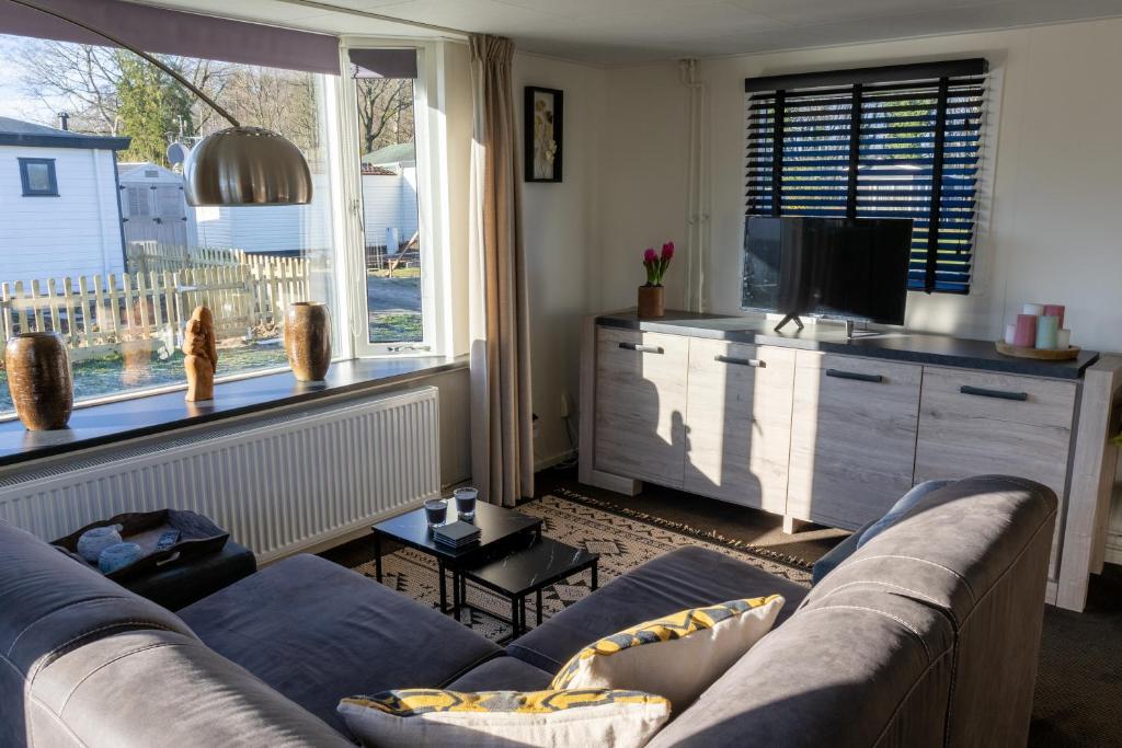 een woonkamer met een bank en een tv bij Luxe Chalet Strubben-Kniphorstbos Anloo in Anloo