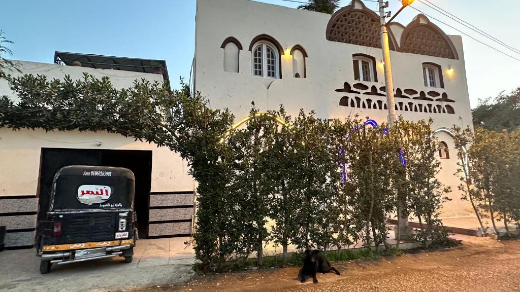 un gatto nero seduto di fronte a un edificio di Pharaonicas a Al Aqālitah
