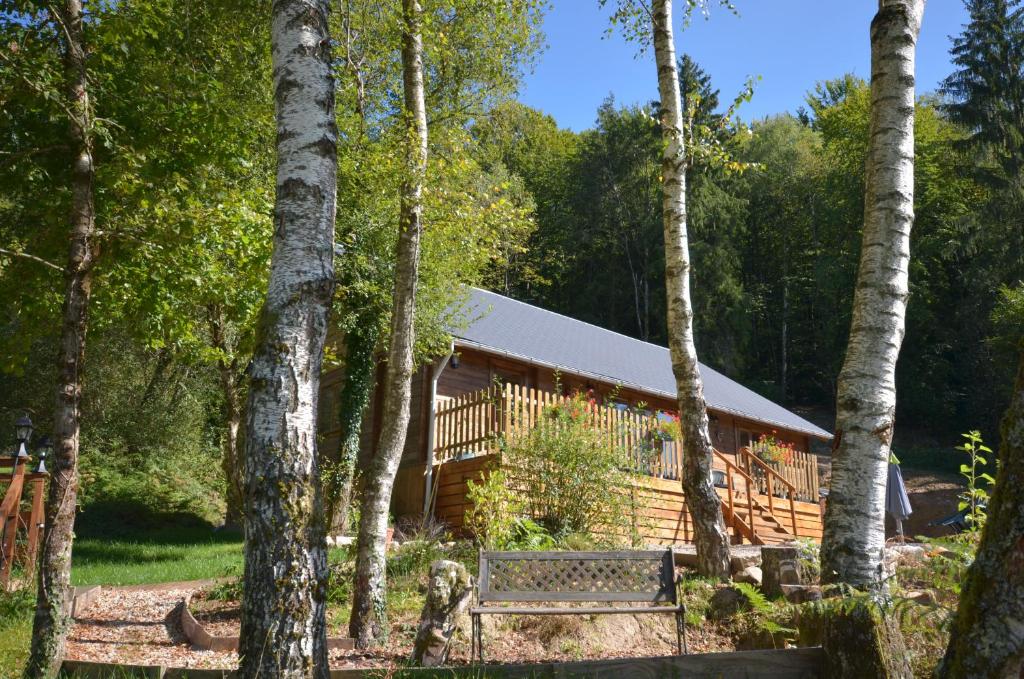 uma cabana de madeira na floresta com um banco em Woodlands Cottage em Treignac