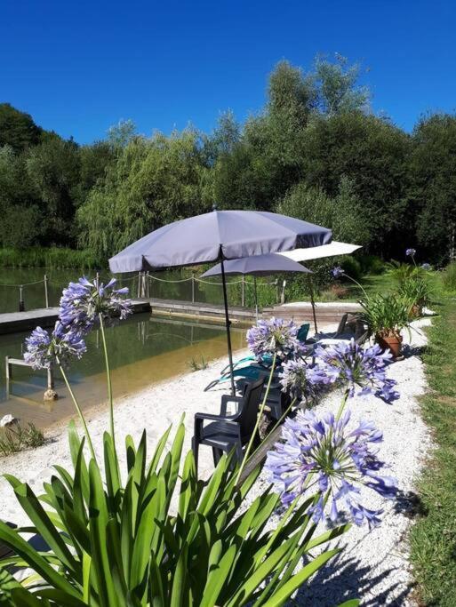 Vonkajšia záhrada v ubytovaní Le séchoir à tabac et sa piscine Les temps des sources