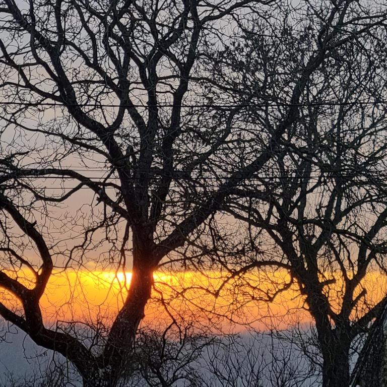 Príroda v okolí penziónu