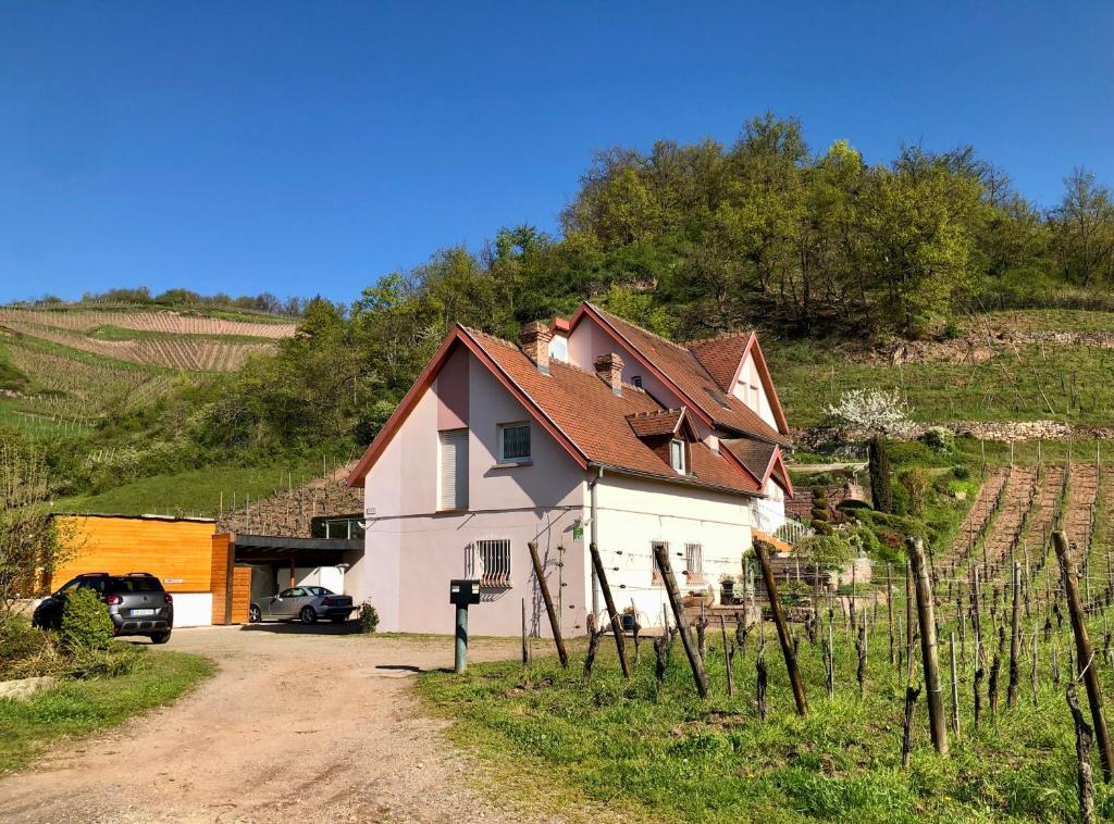 ein Haus auf einer unbefestigten Straße neben einem Weinberg in der Unterkunft Le Gîte du Sommerberg in Niedermorschwihr