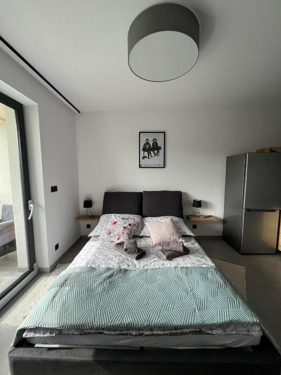 Apartament w Dolinie Sanu - One-Bedroom Apartment